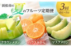 【2026年6月上旬より発送】浜松市の夏のフルーツ定期便　3回（6月～8月）クラウンメロン・ハウスみかん・マスクメロン [№5360-0056]