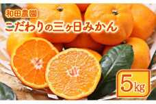 【2025年11月上旬～発送】和田農園のこだわり三ヶ日みかん 5kg [№5360-0057]