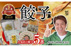 浜松餃子 5種食べ比べセット(ぎょうざのみやび・いえやす餃子・88(パチパチ)餃子・まぐろ餃子・浜松クラフト餃子)計96個 冷凍【浜松市】 [№5360-0082]