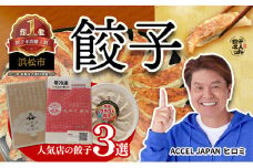 浜松餃子 3種食べ比べセット(弐輪舎餃子・餃子之田内・浜松クラフト餃子)計50個 冷凍【浜松市】 [№5360-0081]