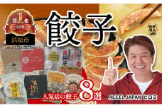 浜松餃子 8種食べ比べセット(弐輪舎餃子・餃子之田内・ぎょうざのみやび・喜久屋・まぐろ餃子・餃子の遠州・88(パチパチ)餃子・浜松クラフト餃子)計140個 冷凍【浜松市】 [№5360-0083]