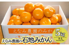 えなみ農園の石地みかん　5kg（S～Lサイズミックス） みかん ミカン 柑橘 果物 くだもの フルーツ 浜松市 静岡 [№5360-0117]