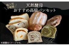 天然酵母 おすすめ高級パン 9種セット（冷凍）【配送不可：離島】 [№5786-5792]