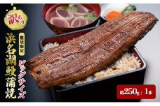 【訳アリ・数量限定】浜名湖鰻蒲焼1本（約250ｇ） ビッグサイズ　うなぎ ウナギ 鰻 蒲焼 蒲焼き 魚貝類 訳あり 土用の丑の日 静岡県 浜松市 [№5360-0210]
