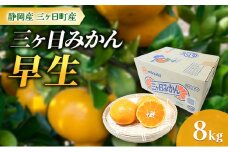 静岡三ヶ日産 早生みかん 8kg/箱 [№5360-0142]