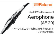 【Roland】電子管楽器/Aerophone AE-20【配送不可：離島】 [№5786-5448]
