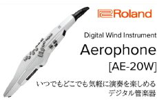 【Roland】電子管楽器/Aerophone AE-20W(パールホワイト)【配送不可：離島】 [№5786-5449]
