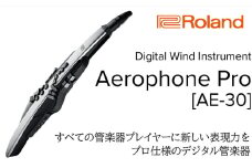 【Roland】電子管楽器/Aerophone Pro AE-30【配送不可：離島】 [№5786-5450]