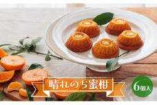 サン・ラファエル 「晴れのち蜜柑」6個入 セット 焼菓子 ケーキ スイーツ 静岡 浜松市[№5360-0146]