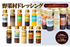 野菜村ドレッシング ミニボトル10本 ギフトセット 各100ml 計10本 セット 化粧箱入 包装有 静岡 浜松市[№5360-0209]