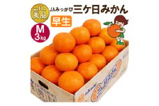 三ケ日みかん 早生【秀品】Mサイズ3kg(27個前後) ミカン 果物 くだもの フルーツ 甘い 静岡県 浜松市 [№5360-0084]