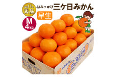 三ケ日みかん 早生【秀品】Mサイズ4kg(36個前後) ミカン 果物 くだもの フルーツ 甘い 静岡県 浜松市 [№5360-0085]