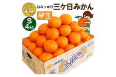 三ケ日みかん 早生【秀品】Sサイズ4kg(48個前後)  ミカン 果物 くだもの フルーツ 甘い 静岡県 浜松市 [№5360-0088]