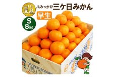 三ケ日みかん 早生【秀品】Sサイズ8kg(96個前後)  ミカン 果物 くだもの フルーツ 甘い 静岡県 浜松市 [№5360-0089]