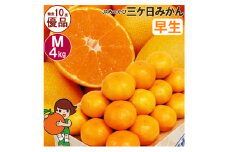 三ケ日みかん 早生【優品】Mサイズ4kg(36個前後)  ミカン 果物 くだもの フルーツ 甘い 静岡県 浜松市 [№5360-0091]