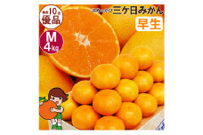 三ケ日みかん 早生【優品】Mサイズ4kg(36個前後)  ミカン 果物 くだもの フルーツ 甘い 静岡県 浜松市 [№5360-0091]
