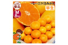 三ケ日みかん 早生【優品】Mサイズ8kg(72個前後)  ミカン 果物 くだもの フルーツ 甘い 静岡県 浜松市 [№5360-0092]