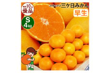 三ケ日みかん 早生【優品】Sサイズ4kg(48個前後)  ミカン 果物 くだもの フルーツ 甘い 静岡県 浜松市 [№5360-0094]