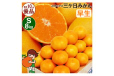 三ケ日みかん 早生【優品】Sサイズ8kg(96個前後)  ミカン 果物 くだもの フルーツ 甘い 静岡県 浜松市 [№5360-0095]