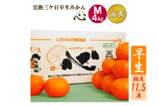 完熟三ヶ日早生みかん「心(こころ)」早生【赤秀品】Mサイズ4kg(36個前後)  ミカン 果物 くだもの フルーツ 甘い 静岡県 浜松市 [№5360-0096]