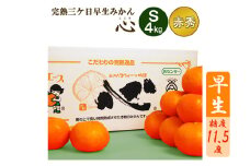 完熟三ヶ日早生みかん「心(こころ)」早生【赤秀品】Sサイズ4kg(48個前後)  ミカン 果物 くだもの フルーツ 甘い 静岡県 浜松市 [№5360-0097]