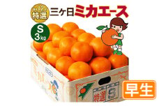 三ヶ日みかん 早生 Sサイズ 特選品3kg(36個前後)  ミカン 果物 くだもの フルーツ 甘い 静岡県 浜松市 [№5360-0100]