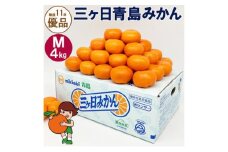 三ヶ日青島みかん【優品】Mサイズ4kg (36個前後) ミカン 果物 くだもの フルーツ 甘い 浜松市 [№5360-0130]