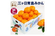 三ヶ日青島みかん【優品】Mサイズ3kg (27個前後) ミカン 果物 くだもの フルーツ 甘い 浜松市  [№5360-0129]