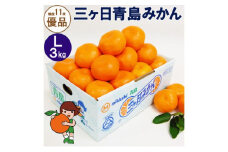三ヶ日青島みかん【優品】Lサイズ 3kg (23個前後) ミカン 果物 くだもの フルーツ 甘い 浜松市 [№5360-0132]