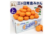 三ヶ日青島みかん【優品】Lサイズ 4kg (30個前後) ミカン 果物 くだもの フルーツ 甘い 浜松市 [№5360-0133]