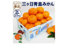 三ヶ日青島みかん【優品】2Lサイズ 3.5kg (20個前後) ミカン 果物 くだもの フルーツ 甘い 浜松市 [№5360-0135]