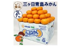 三ヶ日青島みかん【優品】2Lサイズ 7kg (40個前後) ミカン 果物 くだもの フルーツ 甘い 浜松市 [№5360-0136]