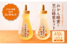 三ヶ日みかんの里で採れたみかん蜂蜜と里山蜂蜜セット 450g×2本  はちみつ 蜂蜜 みかん蜂蜜 みかんはちみつ 国産 静岡 浜松市 三ヶ日町 [№5360-0224]