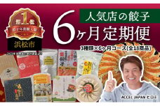 【定期便6回】浜松餃子食べ比べセット(各3種類×6回) 浜松 餃子 食べ比べ セット 静岡 浜松市[№5360-0282]