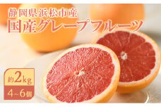 【2026年4月上旬より順次発送】 静岡県浜松市産グレープフルーツ約2kg（4〜6個） 果物 フルーツ 国産 静岡 浜松市[№5360-0283]