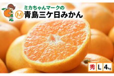 ミカちゃんマークの「マルエム青島三ケ日みかん」秀L4kg(約29個～32個) みかん ミカン フルーツ 果物 浜松市 静岡 [№5360-0145]