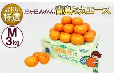 三ケ日みかん 青島 【特選 ミカエース】 Mサイズ3kg(27個前後) ミカン 果物 くだもの フルーツ 甘い 静岡県 浜松市 果物類 柑橘類[№5786-5980]