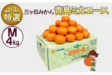 三ケ日みかん 青島 【特選 ミカエース】 Mサイズ4kg(36個前後) ミカン 果物 くだもの フルーツ 甘い 静岡県 浜松市 果物類 柑橘類[№5786-5981]