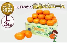 三ケ日みかん 青島 【特選 ミカエース】 Lサイズ3kg(23個前後) ミカン 果物 くだもの フルーツ 甘い 静岡県 浜松市 果物類 柑橘類[№5786-5982]