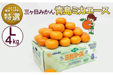 三ケ日みかん 青島 【特選 ミカエース】 Lサイズ4kg(30個前後) ミカン 果物 くだもの フルーツ 甘い 静岡県 浜松市 果物類 柑橘類[№5786-5983]