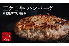 三ケ日牛ハンバーグ 150g×5枚セット 三ケ日牛 牛肉 ハンバーグ セット 冷凍 惣菜 静岡 浜松市[№5360-0285]