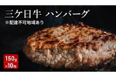 三ケ日牛ハンバーグ 150g×10枚セット 三ケ日牛 牛肉 ハンバーグ セット 冷凍 惣菜 静岡 浜松市[№5360-0286]