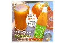 陽だまりファーム 三ヶ日青島みかんジュース ストレート100％ 720ml 1本 青島みかん 静岡 浜松市[№5360-0260]