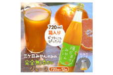 陽だまりファーム 三ヶ日青島みかんジュース ストレート100％ 720ml 12本 青島みかん 静岡 浜松市[№5360-0263]