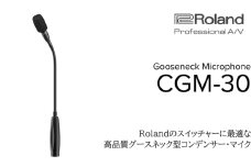 【Roland Pro A/V】グースネック型マイク/CGM-30【配送不可：離島】 コンデンサーマイク マイク Web会議 配信 シンプル 高品質 高音質 高感度 ローランド 浜松市[№5360-0386]