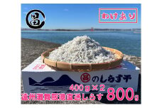 わけあり しらす 遠州灘舞阪港直送 しらす干し 800g（400g×2袋） 冷凍 シラス 訳アリ 【配送不可：離島】 浜松市[№5360-0478]