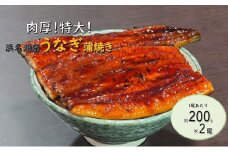 工場直送！特大!!浜名湖産うなぎ蒲焼き 真空パック 約200g×2尾 タレ・山椒付き うなぎ 鰻 ウナギ 蒲焼 冷凍 浜松市 静岡 [№5360-0479]