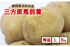 静岡県浜松市産 三方原馬鈴薯 秀品 L 5kg 男爵 じゃがいも じゃが芋 ジャガイモ 国産 野菜 浜松市 [№5360-0541]