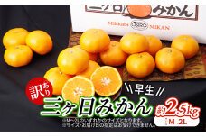 【2025年11月中旬より順次発送】『訳あり』 三ヶ日みかん 早生 2.5kg みかん ミカン 果物 柑橘 フルーツ 訳あり 静岡 浜松市[№5360-0481]