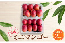 【受付期間:2025年6月25日まで】マンゴー 完熟ミニマンゴー 約800g(約400ｇ×2パック) 浜松赤土産 果物 くだもの フルーツ 完熟 濃厚 甘い ご自宅用 幻といわれるマンゴー  静岡県 浜松市[№5360-0871]